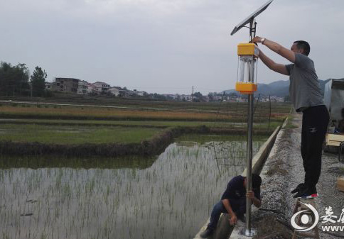 茄子视频在线看助力湖南建設生態優質米示範基地