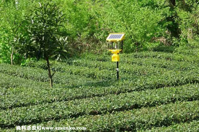 大品牌茄子视频在线看廠家產品質量有保障