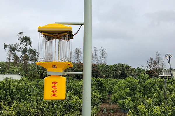 太陽能監控茄子视频在线看讓茶園更安全