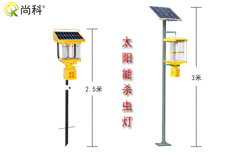 雲南茄子视频在线看