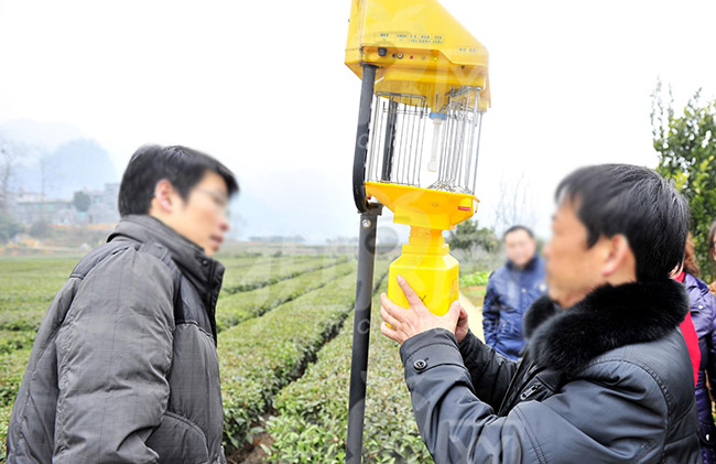 茄子视频在线看燈具安裝攻略，注意事項大全，一定要看